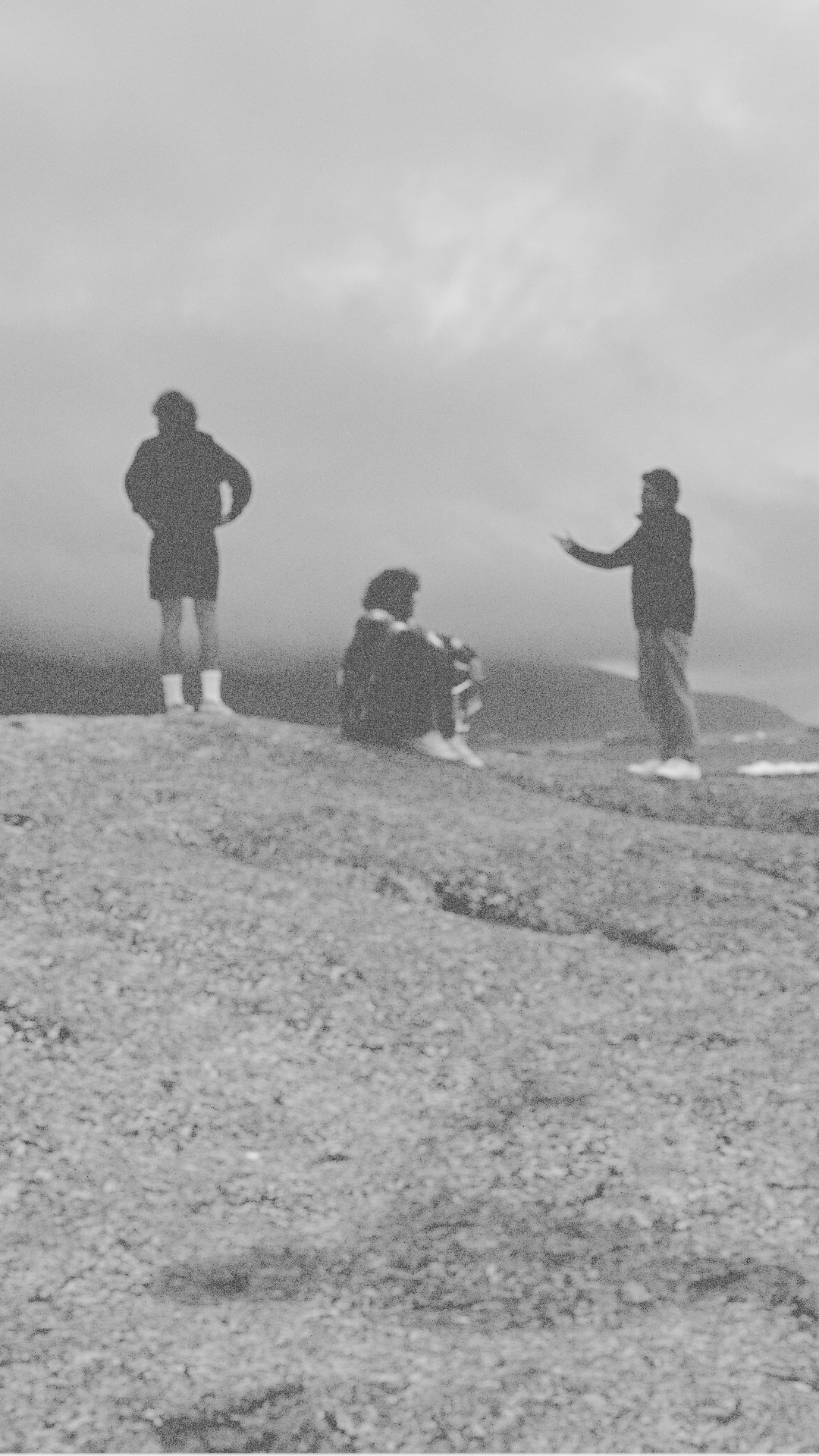 The Abstract Chimp founders outdoors
